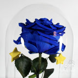 La Rosa del Principe Blu 🤴