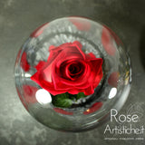 Rosa Rossa 💖