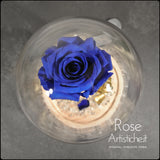 Rosa Blu 💙