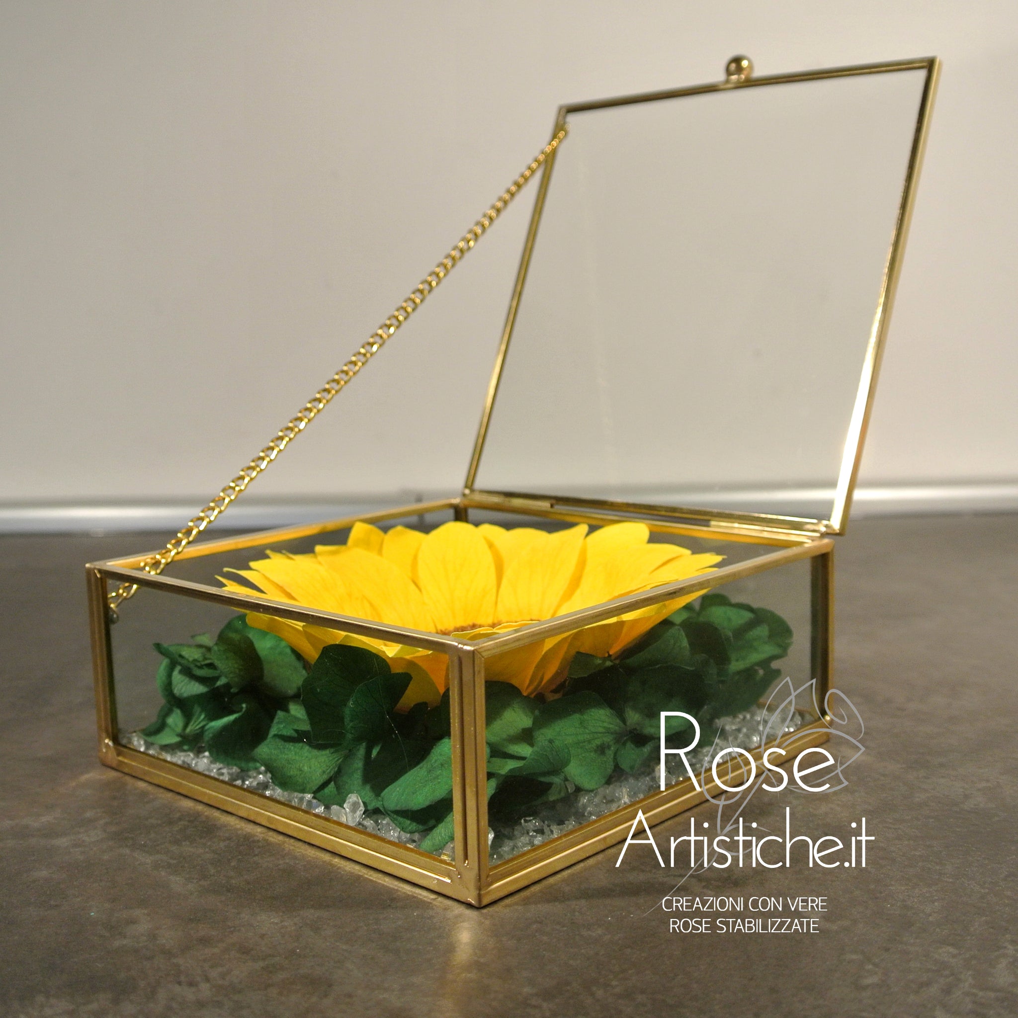 Plexiglass Collection - 5 rose rosse stabilizzate + 1 girasole gigante  stabilizzato