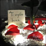 Rosa Rossa 💖