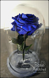 La Rosa del Principe - Blu/Argento 🤴