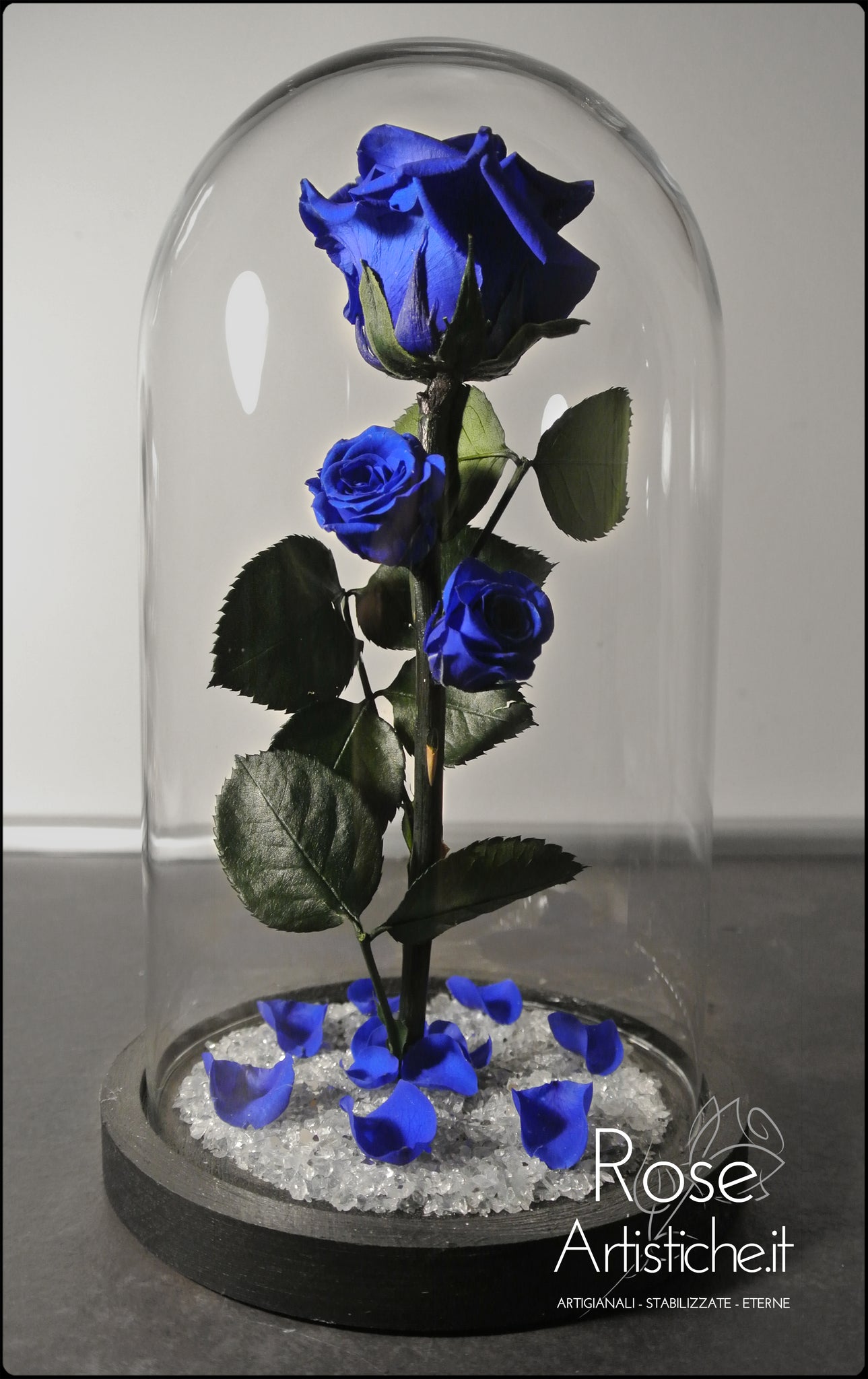 Rosa eterna blu. Cubo di vetro con rosa eterna blu. Rosa stabilizzata blu.  Fatto in Spagna.
